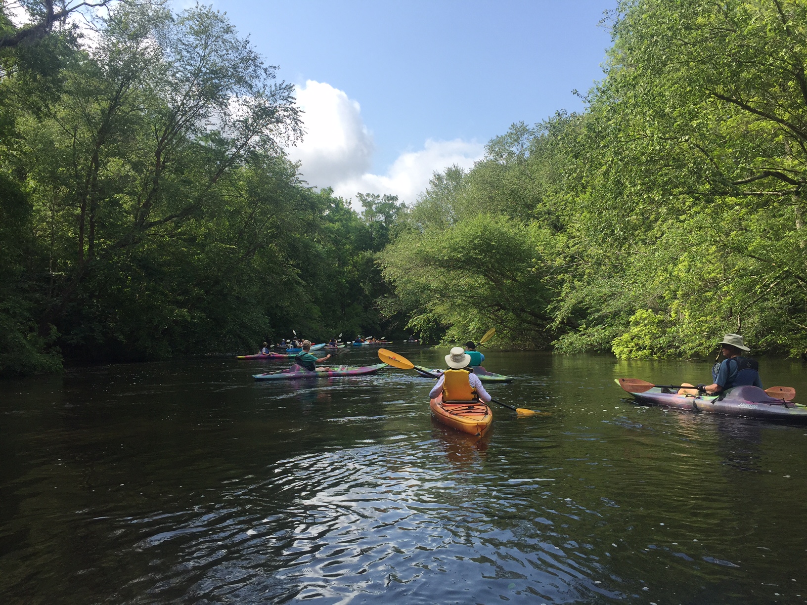 Sold Out! Black River Cypress Preserve Paddle - Saturday, May 15, 2021